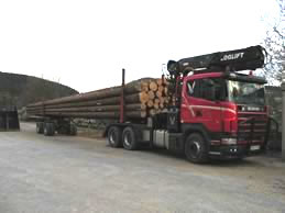 Camion contenant du bois